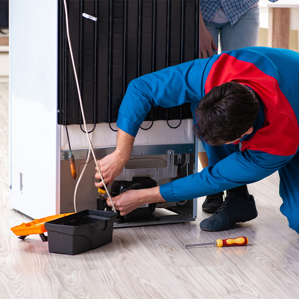 what are the common refrigerator repair services in Dallas City IL